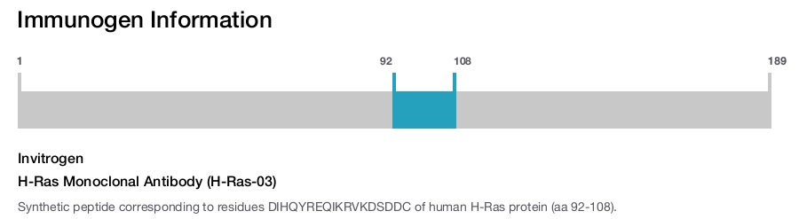 H-Ras Monoclonal Antibody (H-Ras-03)