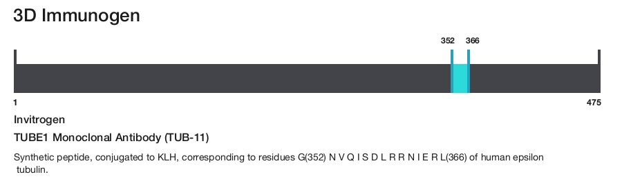 TUBE1 Monoclonal Antibody (TUB-11)