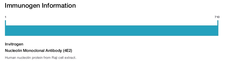 Nucleolin Monoclonal Antibody (4E2)