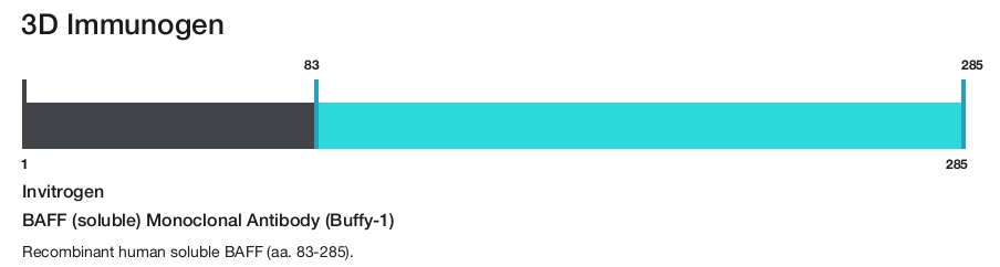 BAFF (soluble) Monoclonal Antibody (Buffy-1)