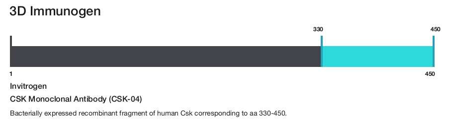 CSK Monoclonal Antibody (CSK-04)