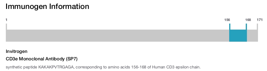 CD3e Monoclonal Antibody (SP7)