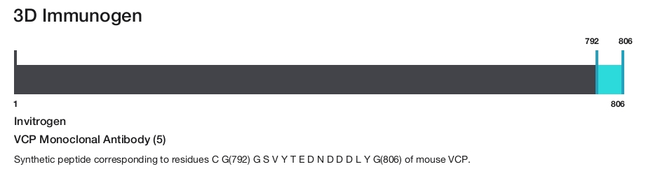 VCP Monoclonal Antibody (5)