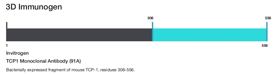 TCP1 Monoclonal Antibody (91A)