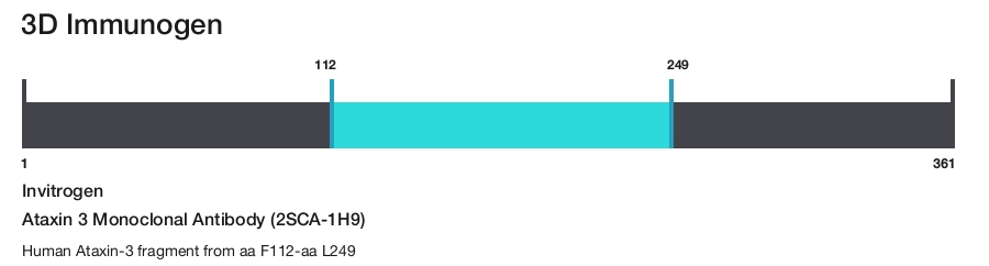 Ataxin 3 Monoclonal Antibody (2SCA-1H9)