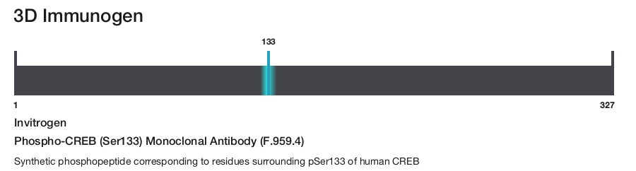 Phospho-CREB (Ser133) Monoclonal Antibody (F.959.4)