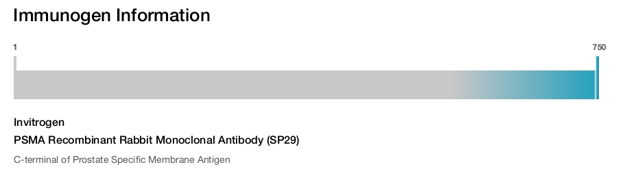 PSMA Recombinant Rabbit Monoclonal Antibody (SP29)