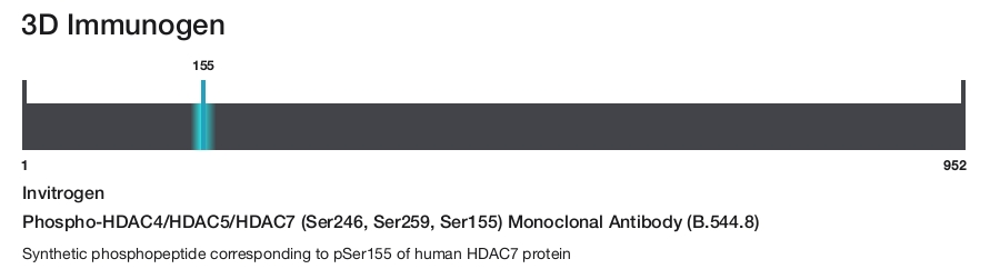 Phospho-HDAC4/HDAC5/HDAC7 (Ser246, Ser259, Ser155) Monoclonal Antibody (B.544.8)