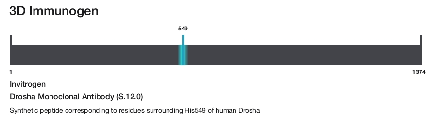 Drosha Monoclonal Antibody (S.12.0)