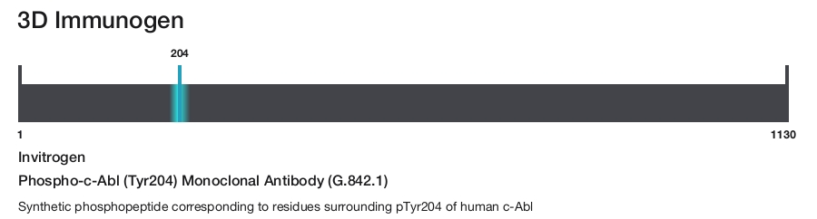 Phospho-c-Abl (Tyr204) Monoclonal Antibody (G.842.1)