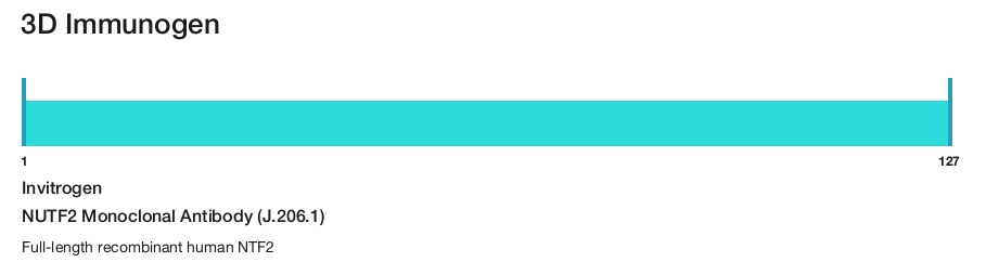 NUTF2 Monoclonal Antibody (J.206.1)