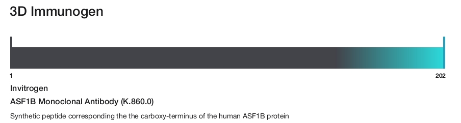 ASF1B Monoclonal Antibody (K.860.0)