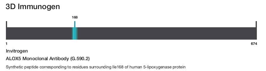 ALOX5 Monoclonal Antibody (G.590.2)