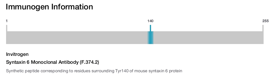 Syntaxin 6 Monoclonal Antibody (F.374.2)