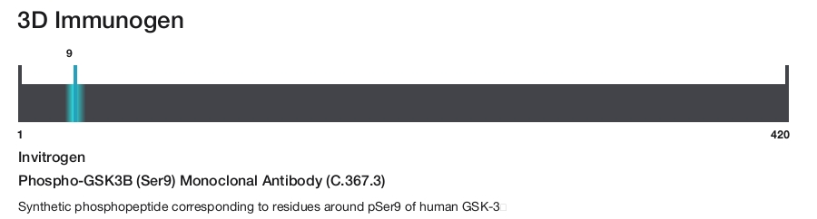 Phospho-GSK3B (Ser9) Monoclonal Antibody (C.367.3)