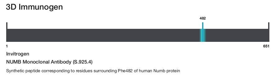 NUMB Monoclonal Antibody (S.925.4)