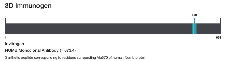 NUMB Monoclonal Antibody (T.873.4)
