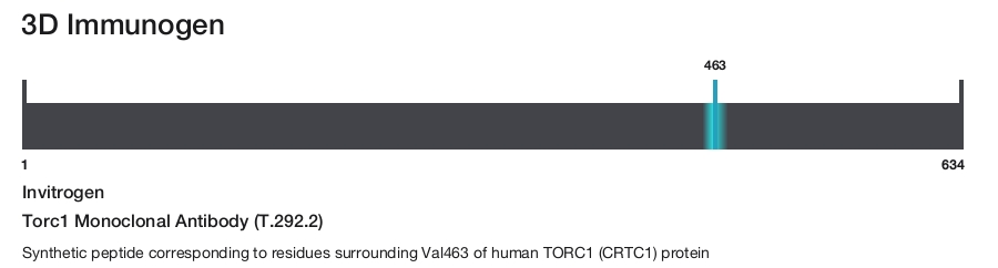 Torc1 Monoclonal Antibody (T.292.2)