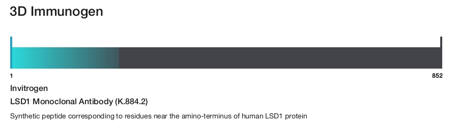 LSD1 Monoclonal Antibody (K.884.2)