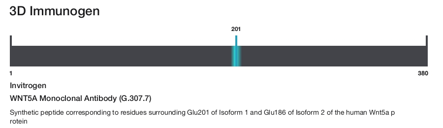 WNT5A Monoclonal Antibody (G.307.7)