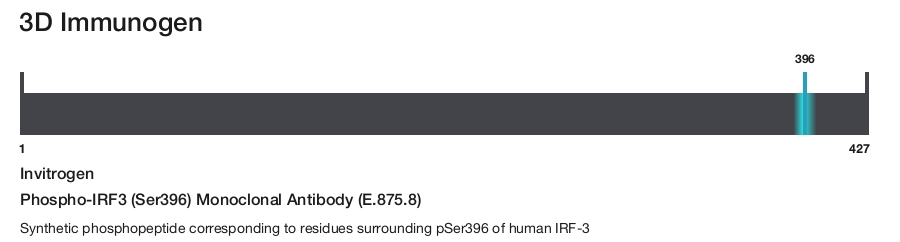 Phospho-IRF3 (Ser396) Monoclonal Antibody (E.875.8)