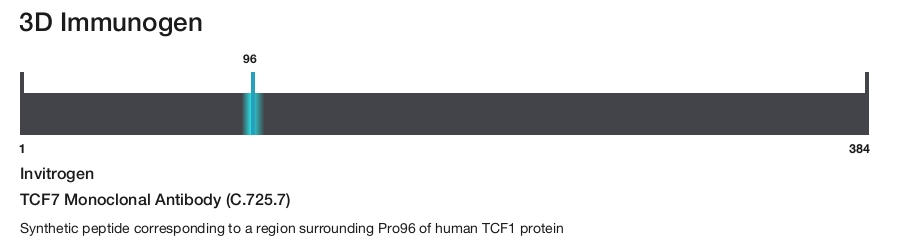 TCF7 Monoclonal Antibody (C.725.7)
