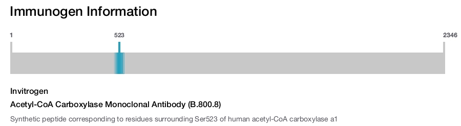 Acetyl-CoA Carboxylase Monoclonal Antibody (B.800.8)