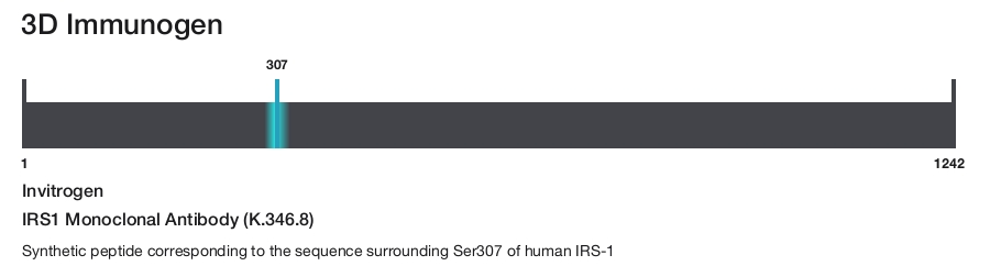 IRS1 Monoclonal Antibody (K.346.8)
