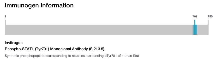 Phospho-STAT1 (Tyr701) Monoclonal Antibody (S.213.5)