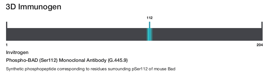Phospho-BAD (Ser112) Monoclonal Antibody (G.445.9)