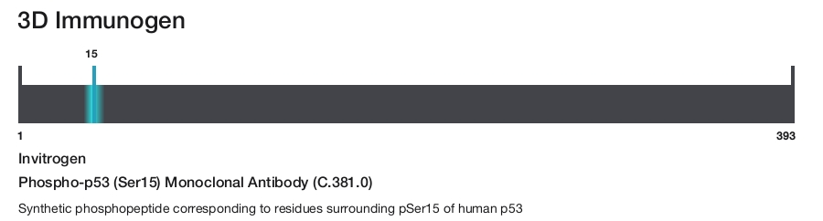 Phospho-p53 (Ser15) Monoclonal Antibody (C.381.0)
