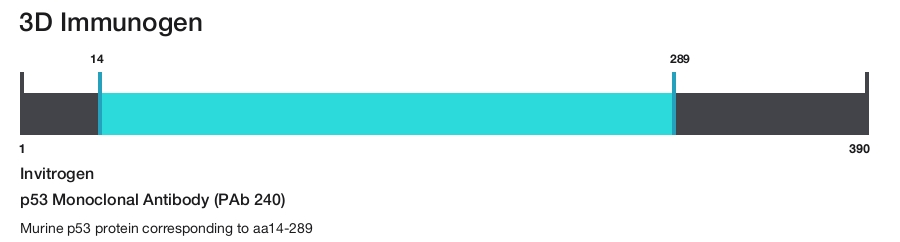 p53 Monoclonal Antibody (PAb 240)