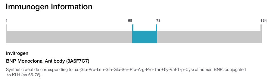 BNP Monoclonal Antibody (3A6F7C7)