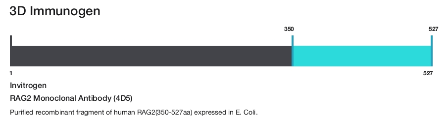 RAG2 Monoclonal Antibody (4D5)
