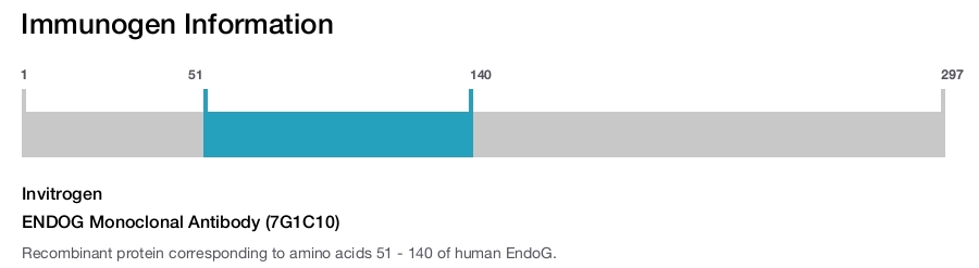 ENDOG Monoclonal Antibody (7G1C10)