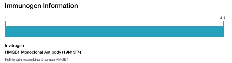 HMGB1 Monoclonal Antibody (19N15F4)