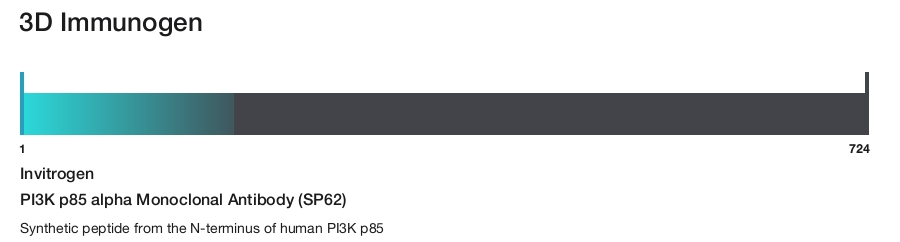 PI3K p85 alpha Monoclonal Antibody (SP62)