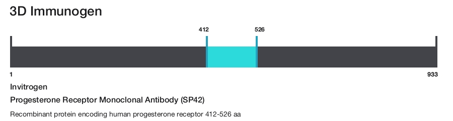 Progesterone Receptor Monoclonal Antibody (SP42)