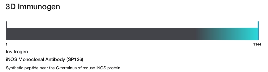 iNOS Monoclonal Antibody (SP126)