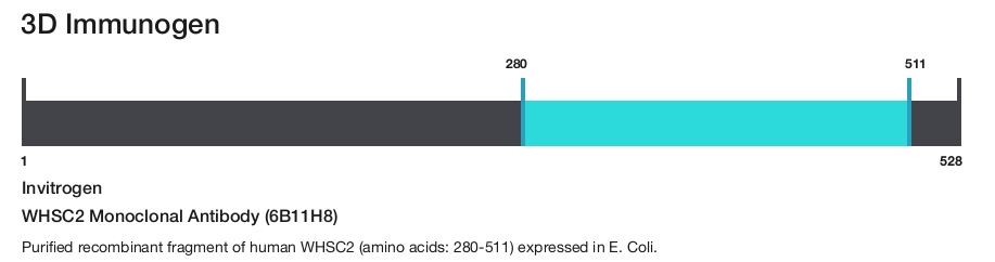 WHSC2 Monoclonal Antibody (6B11H8)