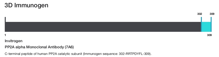 PP2A alpha Monoclonal Antibody (7A6)