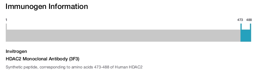 HDAC2 Monoclonal Antibody (3F3)