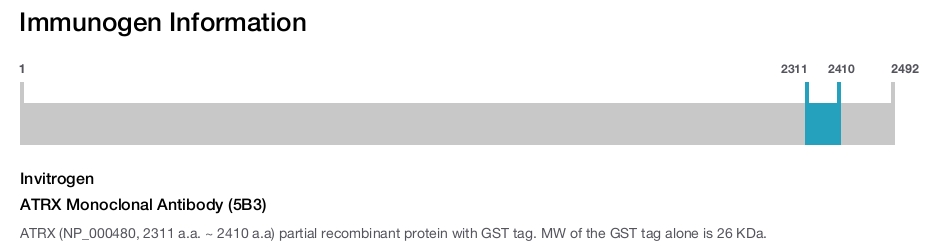 ATRX Monoclonal Antibody (5B3)