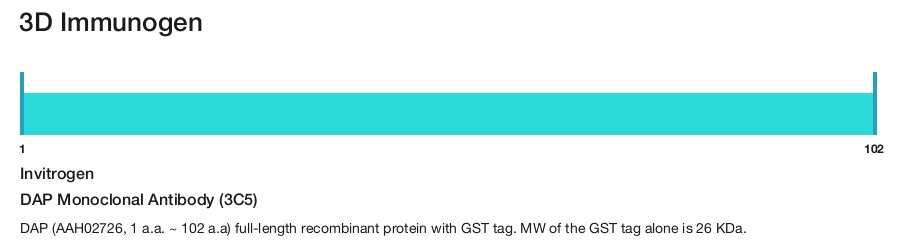 DAP Monoclonal Antibody (3C5)