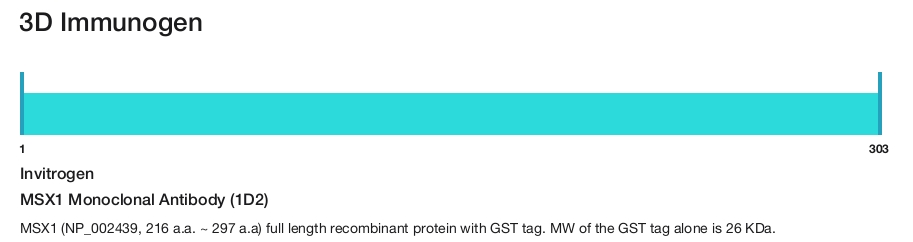 MSX1 Monoclonal Antibody (1D2)