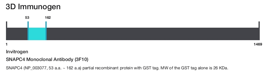 SNAPC4 Monoclonal Antibody (3F10)