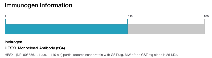 HESX1 Monoclonal Antibody (2C4)
