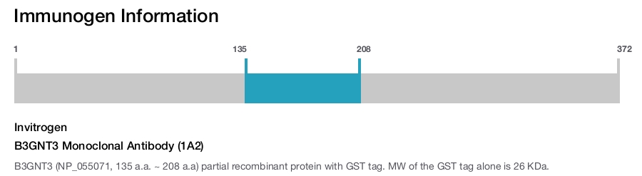 B3GNT3 Monoclonal Antibody (1A2)
