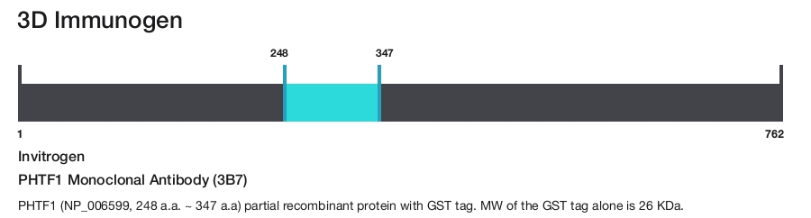 PHTF1 Monoclonal Antibody (3B7)