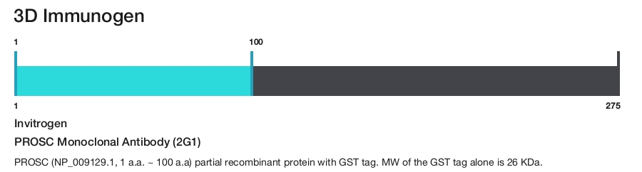 PROSC Monoclonal Antibody (2G1)